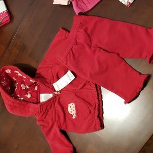 Gymboree size 3-6 mos. 2 piece set, zip up hoodie with owl motive & pants. NWT.